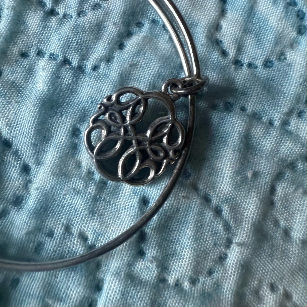 Alex and Ani Path of Life Charm Bracelet - Picture 6 of 10